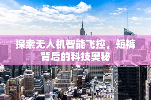 探索无人机智能飞控，短裤背后的科技奥秘