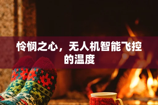 怜悯之心，无人机智能飞控的温度