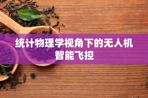 统计物理学视角下的无人机智能飞控