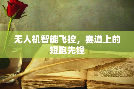 无人机智能飞控，赛道上的短跑先锋
