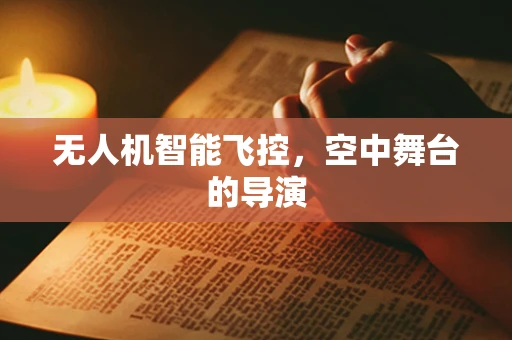 无人机智能飞控，空中舞台的导演