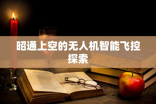 昭通上空的无人机智能飞控探索