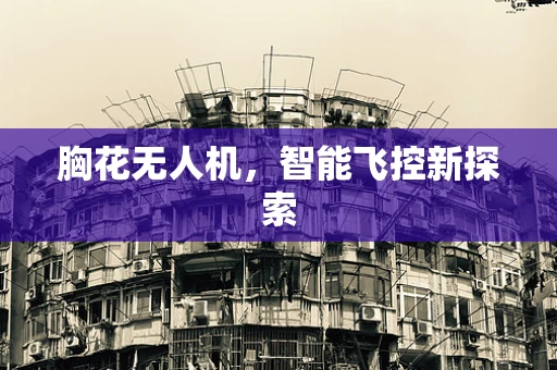 胸花无人机，智能飞控新探索