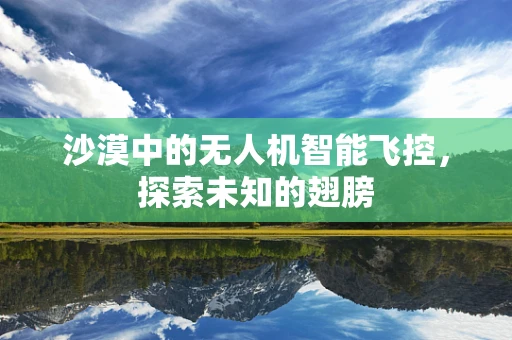 沙漠中的无人机智能飞控，探索未知的翅膀