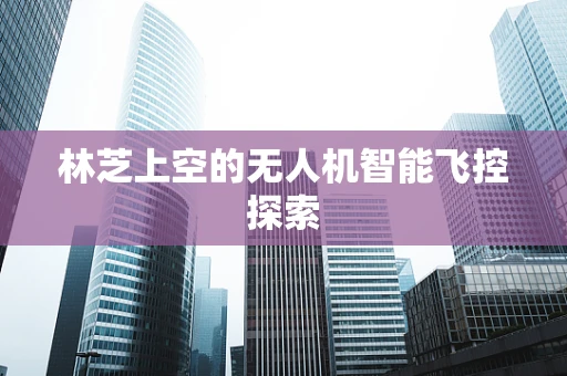 林芝上空的无人机智能飞控探索