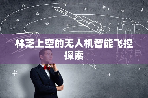 林芝上空的无人机智能飞控探索