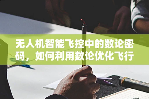 无人机智能飞控中的数论密码，如何利用数论优化飞行路径？