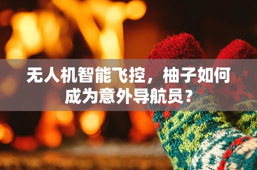 无人机智能飞控，柚子如何成为意外导航员？