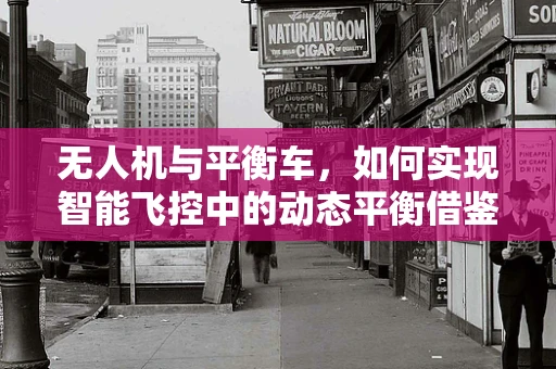 无人机与平衡车，如何实现智能飞控中的动态平衡借鉴？