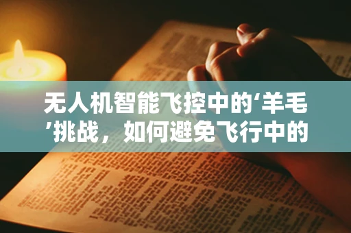 无人机智能飞控中的‘羊毛’挑战，如何避免飞行中的‘意外羊毛’？