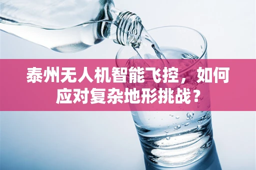 泰州无人机智能飞控，如何应对复杂地形挑战？