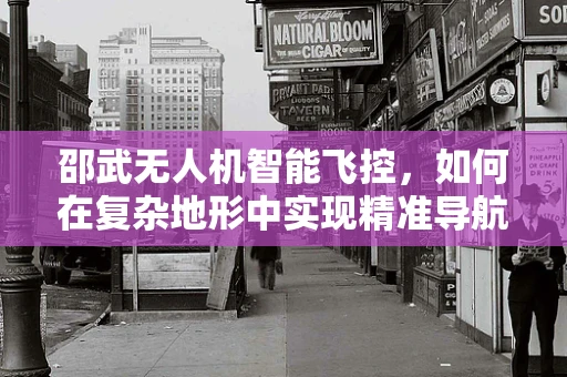 邵武无人机智能飞控，如何在复杂地形中实现精准导航？