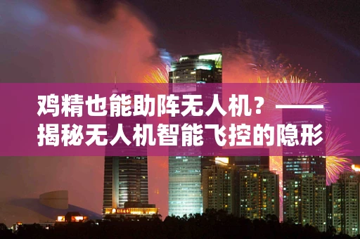 鸡精也能助阵无人机？——揭秘无人机智能飞控的隐形调料