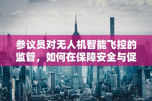 参议员对无人机智能飞控的监管，如何在保障安全与促进创新间找到平衡？