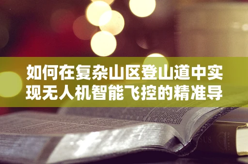 如何在复杂山区登山道中实现无人机智能飞控的精准导航？