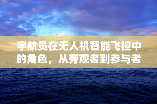宇航员在无人机智能飞控中的角色，从旁观者到参与者？