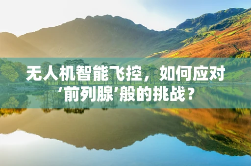 无人机智能飞控，如何应对‘前列腺’般的挑战？