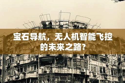 宝石导航，无人机智能飞控的未来之路？