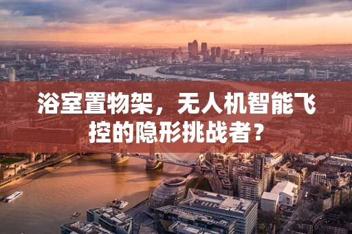 浴室置物架，无人机智能飞控的隐形挑战者？