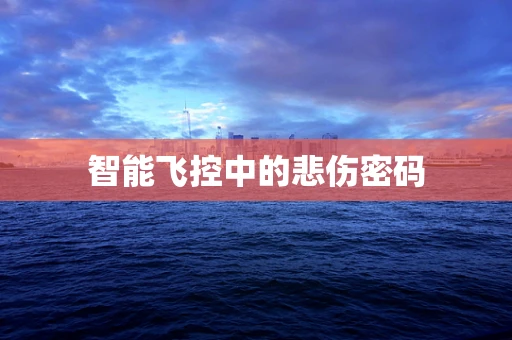 智能飞控中的悲伤密码