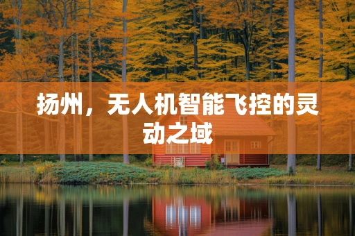 扬州，无人机智能飞控的灵动之域