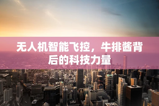 无人机智能飞控，牛排酱背后的科技力量