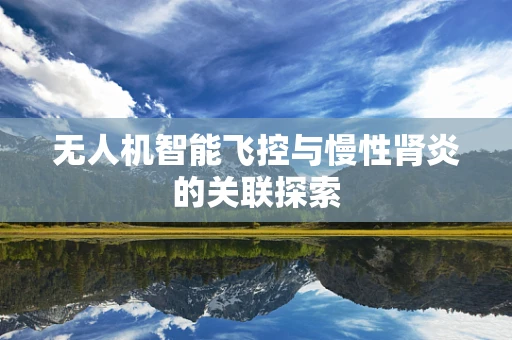无人机智能飞控与慢性肾炎的关联探索