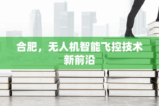合肥，无人机智能飞控技术新前沿
