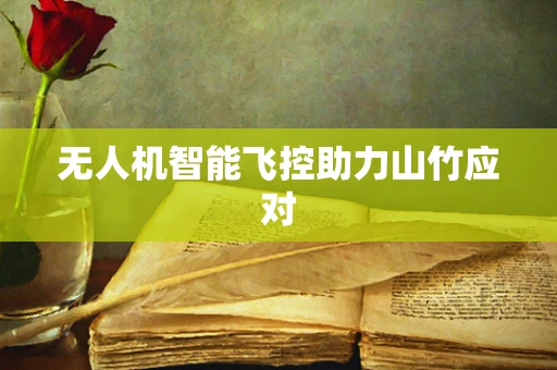无人机智能飞控助力山竹应对