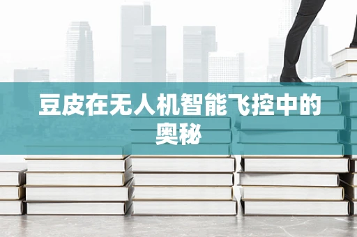 豆皮在无人机智能飞控中的奥秘