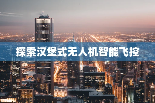 探索汉堡式无人机智能飞控